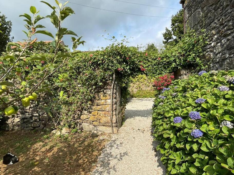 Lugar Do Curro, San Martino De Ozon Villa Muxia Ngoại thất bức ảnh